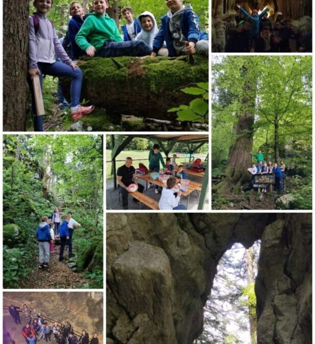 Špilja Lokvarka i Park šuma Golubinjak – svibanj 2025.