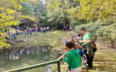 Otvorena šetnica Putovima čavjanskih kalića